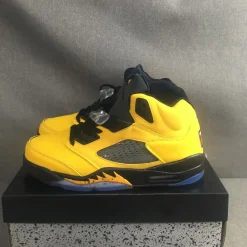 AJ 5 Retro Michigan (2019) Shoes Sneakers - nk0000157 - Image 7